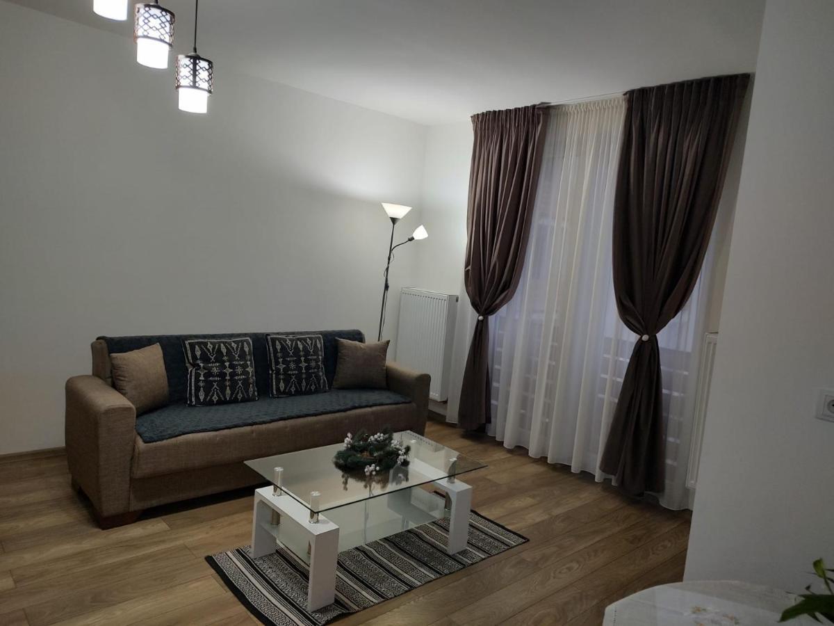 Casa Ioana Apartment Targu Mures Exterior photo