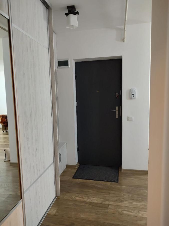 Casa Ioana Apartment Targu Mures Exterior photo