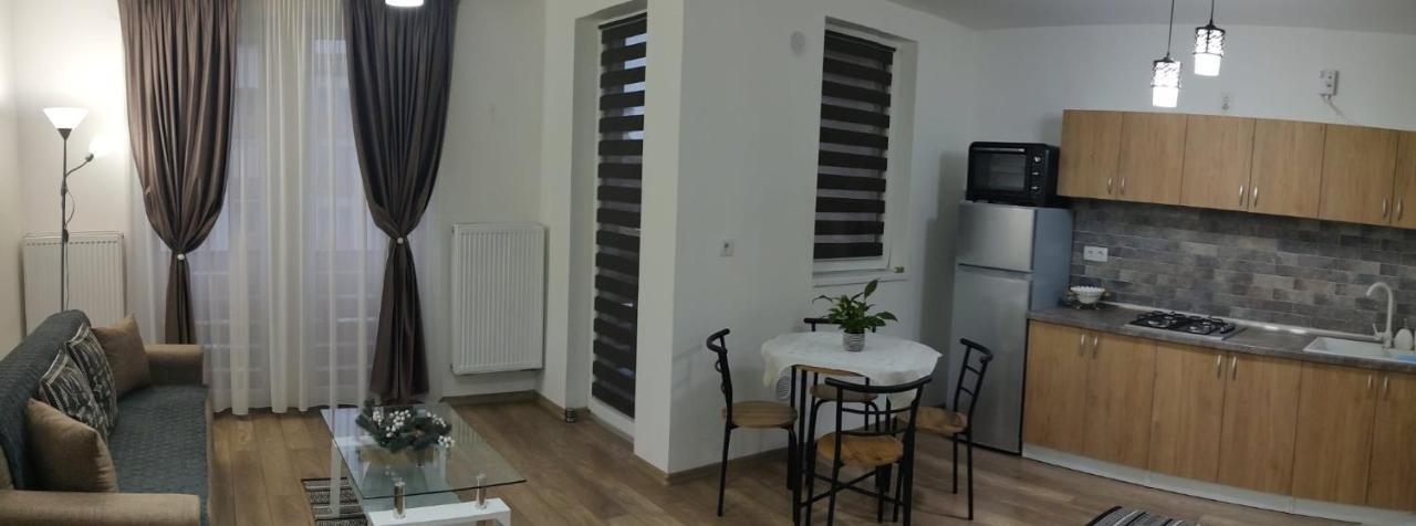 Casa Ioana Apartment Targu Mures Exterior photo